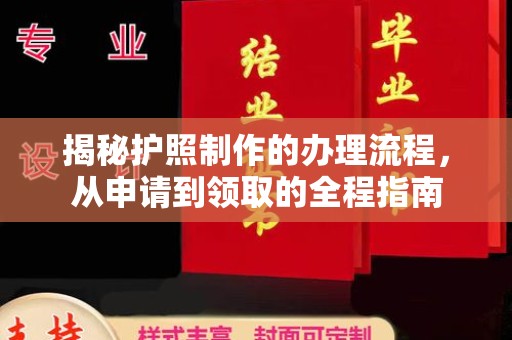 隆子揭秘护照制作的办理流程，从申请到领取的全程指南